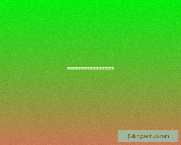 弗拉霍维奇伊尔迪兹图拉姆成焦点斯帕莱蒂全力部署尤文迎战佛罗伦萨